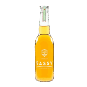 CIDRE - MAISON SASSY - Cidre bio 0,33 l BIO