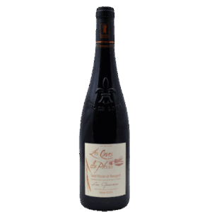 Saint-Nicolas-de-Bourgueil 2022– Vieilles Vignes – Stéphane Renou