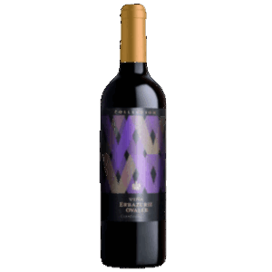 Viña ERRAZURIZ 2022 – Carmenere -Aconcagua Valley - Chili